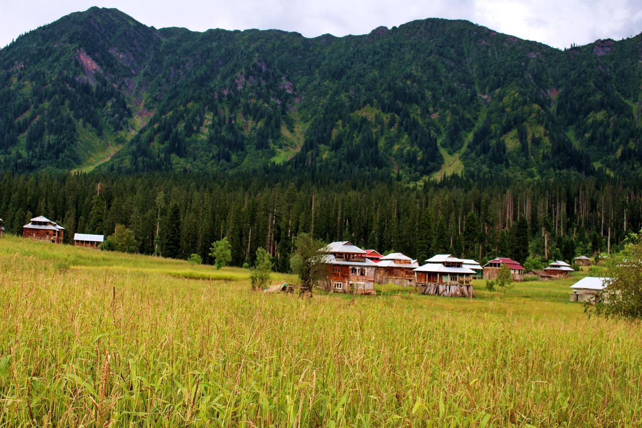 Sharda Resort Shardi Dış mekan fotoğraf